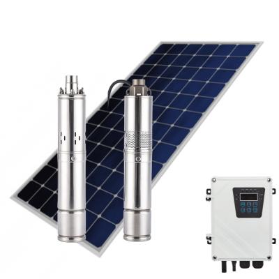 China Industrial Utilities Dc24 270w 3 Inch Screw Pump Agriculture Irrigation Solar Water Pump for sale