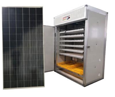 China Full Automatic Solar Egg Incubator Plant Reptile Incubator Solar 1000 Eggs Incubator for sale