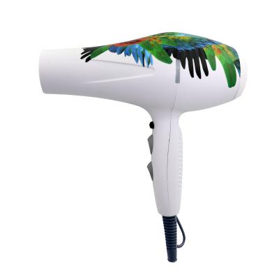 China Other Professional Hair Salon Hair Blower Hair Dryer Hair Dryer Power Hair Dryer for sale