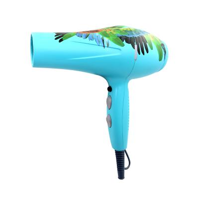 China Other professional hairdresser hair dryer machine hign speed hair dryer salon blow dryer for sale