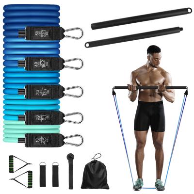 China Home Gym Commerical Outdoor Sport Game Fitness Yoga Club Pilates Yoga Exercise Expander with Multifunctional Butt Pull Rope Fitness Resistance Tube Band Set 11pcs Door Anchor Training Bar Gym Straight for sale