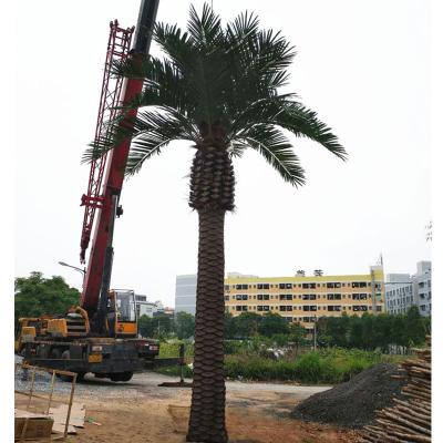 China Fiberglass Hotel Outdoor Large Landscape Artificial Royal Date Palm Trees for sale