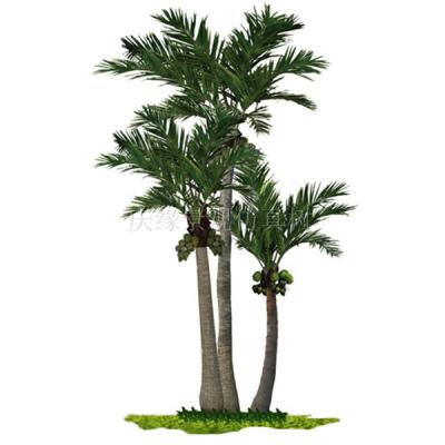 China New Customized 3-10m Outdoor Fiberglass Outdoor Fiberglass Customized Artificial Coconut Trees for sale