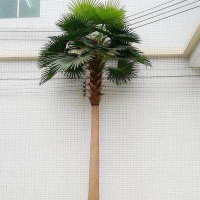 China Hotel Chinese manufacture sale outdoor and indoor artificial Chinese livistona fake palm fan tree chinensis for sale