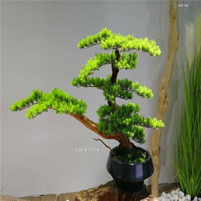 China Various types of high quality and very durable oil green pine artificial pine bonsai fiberglass are used for interior decoration for sale