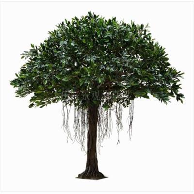 China Wholesale Green High Quality Minimalist Guangzhou Fiberglass Materials Artificial Banyan Tree for sale