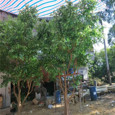 China Indoo/FA03-017 outdoor beautiful garden decoration simulation qin banyan bonsai Guangzhou sales quality export simulation qin banyan tree for sale