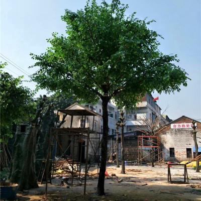 China Indoor & Outdoor Fiberglass Medium Trunk Minimalist Artificial Plant Banyan Tree for sale