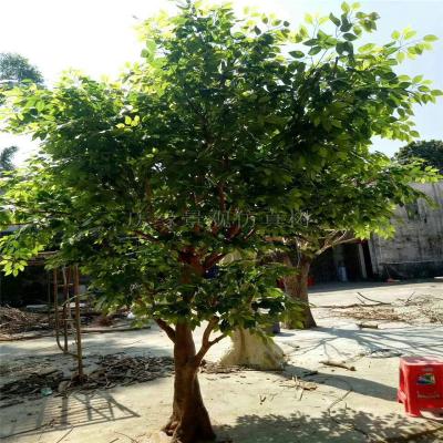 China Wholesale New Fiberglass China - Made Plastic Artificial Banyan Tree for sale