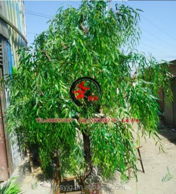 China Indoor& outdoor decoration plastic artificial willow/artificial plant fake tree/artificial tree for wonderful decoration for sale