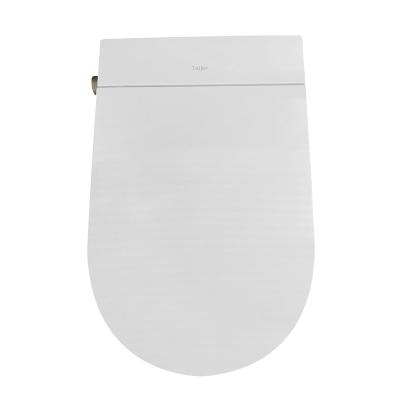 China Modern Luxury Tejjer Special U-shape E71 White Auto Clean Smart Toilet Seat Children's Toilet Seats Tejjer White for sale