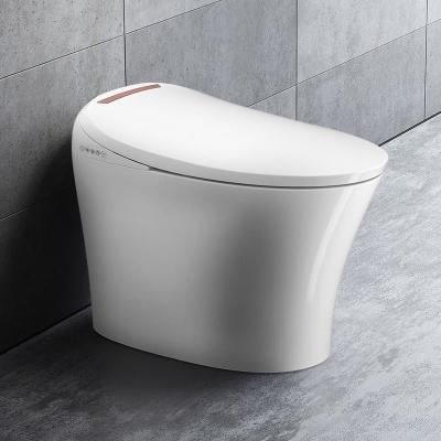 China Automatic Operation Smart Water Saving Toilet Bottle With Bidet Ceramic Designed For Woman for sale