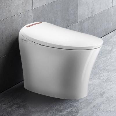 China Auto Operation DIY Toilet Motor Bathroom Flush Toilet Bowl Without Tank for sale