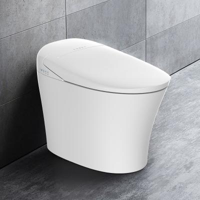 China Family Use Wash Function Electric Ceramic Combo Bidet One Piece Smart Toilet for sale