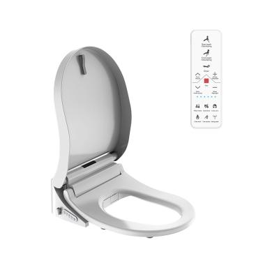 China TB-325ZA Electronic Bidets i-touch Remote Control Indian Style Auto Toilet Seat for sale