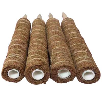 China Potted Coconut Fiber Plants Mounting Support Moss Pole For Training Large Potted Plants Grow And Grow Upward for sale