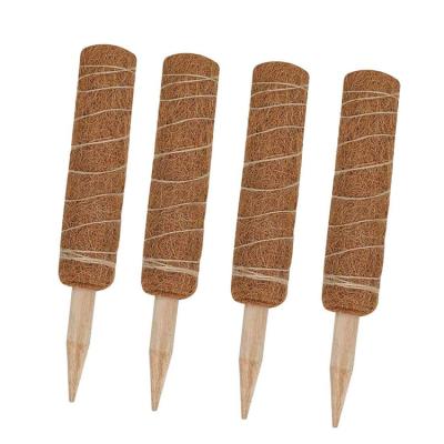 China Wholesale Coconut Fiber Plant Support Coir Totem Moss Stick Pole For Planting Climbers for sale