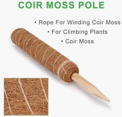 China Falcon 2022 Coconut Fiber Seedling Groove 12 Inch 16 Inch Stakes Moss Pole For Monstera 20 Inch Garden Plant Support Seedlings for sale