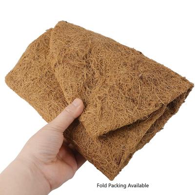 China Coconut Fiber 14