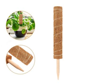 China Coconut Fiber Coconut Coir Pole Support Plants For Growing Coir Uphill Moss Totem Pole Stick Use for sale