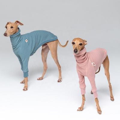 China Sustainable Qiqu Pet Shop Manufacturer Provides Custom Designer Apparel Apparel Waffle Turtle Necks For Italian Greyhound for sale