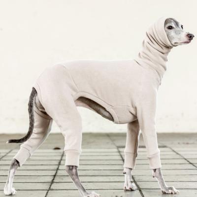 China Sustainable Qiqu Pet Shop Supplies Dog Apparel High Fashion Clothes Sport Cotton Sweat Jammies Jumpsuit Romper Onesie For Italian Greyhound for sale