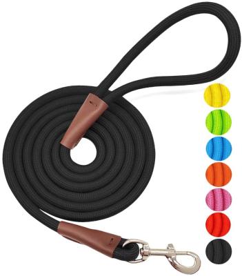 China 4FT/6FT/8FT/10FT Reflective Dog Leash Classic Solid Colors Durable Reinforced Mountaineering Rope Dog Leash With Connect Leather Tailor for sale