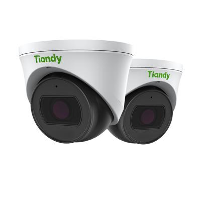 Cina Selling Night Vision IP67 IR 2MP Starlight Dome Security CCTV Outdoor Camera Best Tiandy Monitor Smart Waterproof Remote Surveillance in vendita