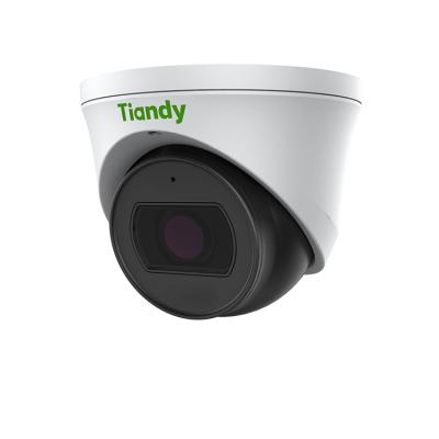 China NIGHT VISION Tiandy High Performance 2MP 30m IR ip67 Dome Camera POE IP Camera MIC Built in Security CCTV Camera à venda