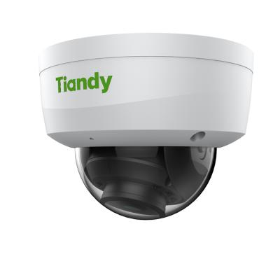 中国 NIGHT VISION Tiandy Metal+Plastic housing waterproof IP camera surveillance IP67 IK10 2MP poe dome cctv camera 販売のため