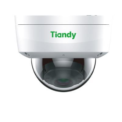 China Tiandy 2mp 30m IR NIGHT VISION High Quality MIC P67 IK10 Motion Detection Low Price Hidden PoE CCTV Camera zu verkaufen