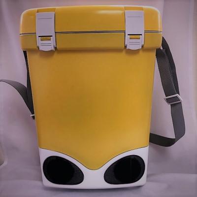 China Wine Beer Champagne Beer Cooler Can Cooler Box with Wireless Speaker for Chewing and Fishing for sale