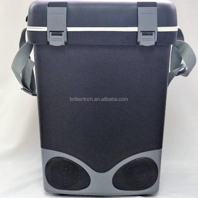 China Car cooler and warmer box with wireless speaker for sale