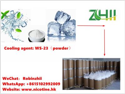 China Cooling Agent Ws-23 Factory Supply WS-23 Cooling Agent WS-23 Powder for sale