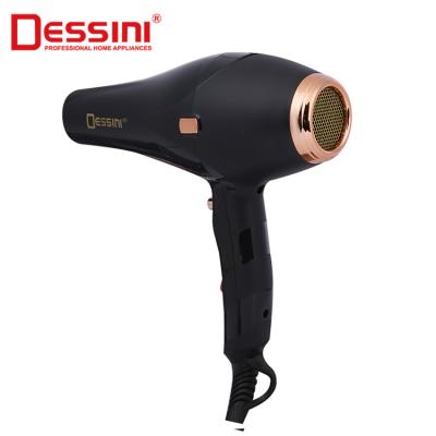 China New Ionic Type Commercial Nylon Hotel Professional Heat And Cool Setting Hair Brush DESSINI Dryer for sale