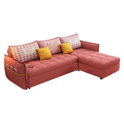 China Queen Size Foldable Single Soft Pull Sofa Cum Beds for sale