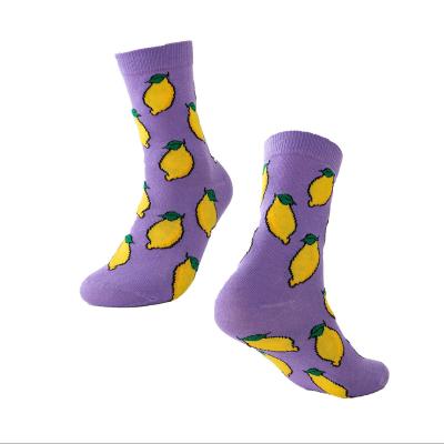 China Wholesale High Quality Sports Bulk Funny Cute Food Animal Sock For Women Custom for sale