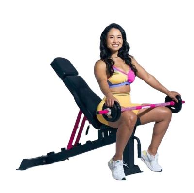 China 2022 Salon Professional Fitness Equipment Factory Direct Supply Adjustable Dumbbell Bench Home Bird Bench for sale