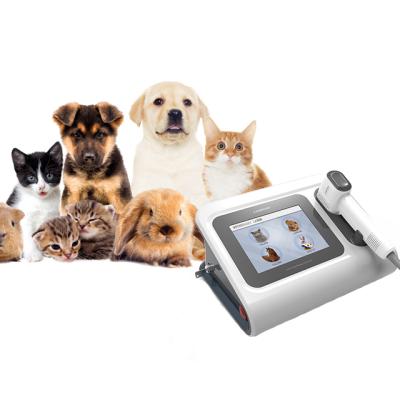 China Other Veterinary Laser Therapy Device For Pain Relief Horse Laser Therapy for sale