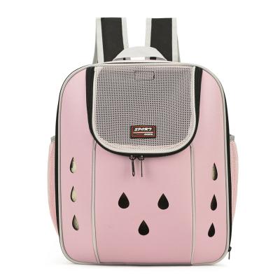 China Wholesale Eco-Friendly Portable Travel Pet Carrier Backpack Premium Portable Windproof Durable Material for sale