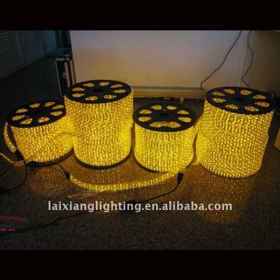 China PVC Flat 3 Wires 16mm LED Rope Light Yellow 108led/m (CE,ROHS) for sale