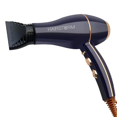 China Factory Price Ionic Ion Best Professional Hair Dryer Negative Used In Salon Brand Name Hair Dryers For Women for sale