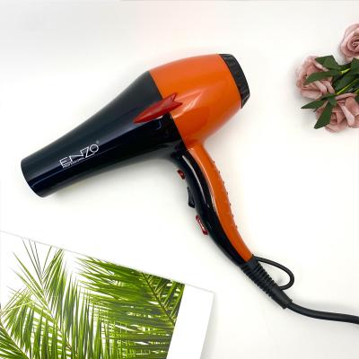 China Ion Hair Dryer Machine Best Price Good Quality Negative Ion AC Motor Infared High Temperature Hair Dryer for sale