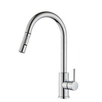 China Sense Faucets Pull Out Faucet 304 Stainless Steel Kitchen Sink Mixer Lead Free (SS30A) for sale