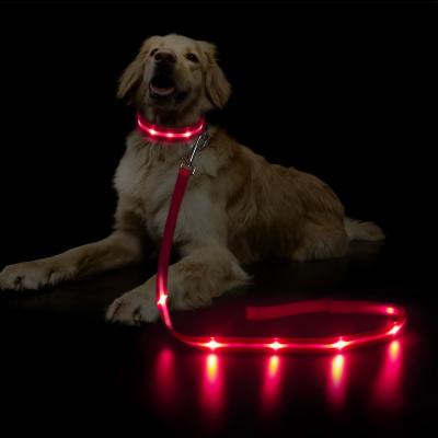 China TIZE Dog Belt Dog Viable Flashing Luminous Nylon Leash Waterproof USB Recharging Light Up LED Dog Leash for sale