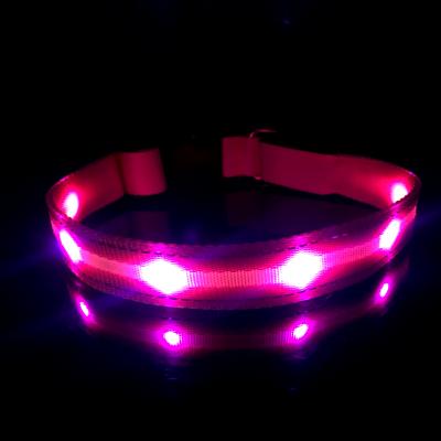 China Sustainable Pet Christmas Usb Rechargeable Dog Leashes And Collar Led Glow In The Dark for sale