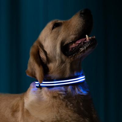 China Night Viable Safety Collar Dog LED Flashing Glow For Dogs Pet Supplies Collars For Small Dogs Cats for sale