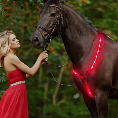 China 2021 Outdoor Horse Equipment Led Safety Led Saddle Horse Flashing Harness For Draft Horse Harness for sale