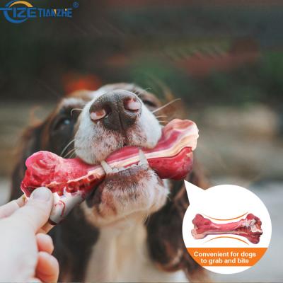 China 2021 Tize Pet Toy Ultra Durable Non-Toxic Rubber Viable Soft Rubber Dog Chew Toy for sale