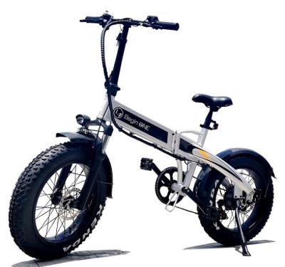 China Big Battery Capacity Single Hot Tire Disc Brake Sale Aluminum Alloy Frame Design Electric Bicycle for sale